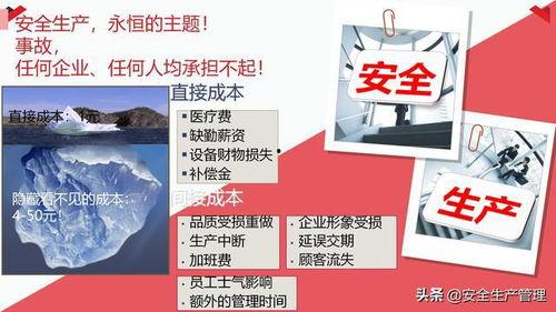 国产29页,揭秘我国科技发展的新篇章